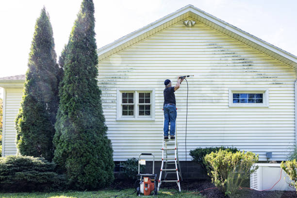 Best Driveway Pressure Washing  in Vinton, TX