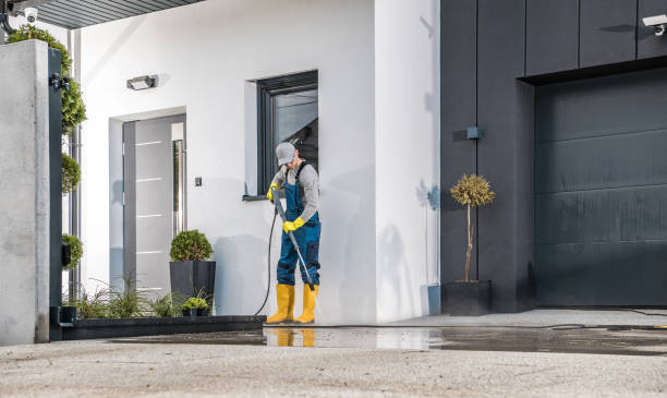Best Soft Washing  in Vinton, TX